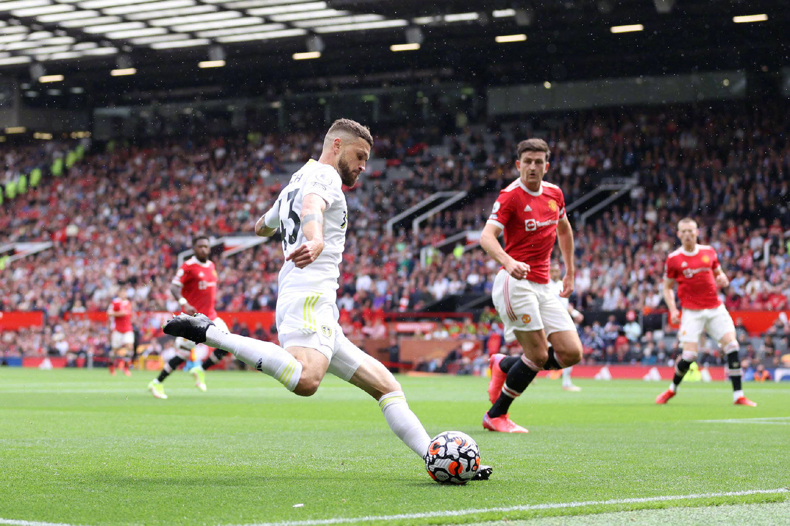 治级地位 治级地位